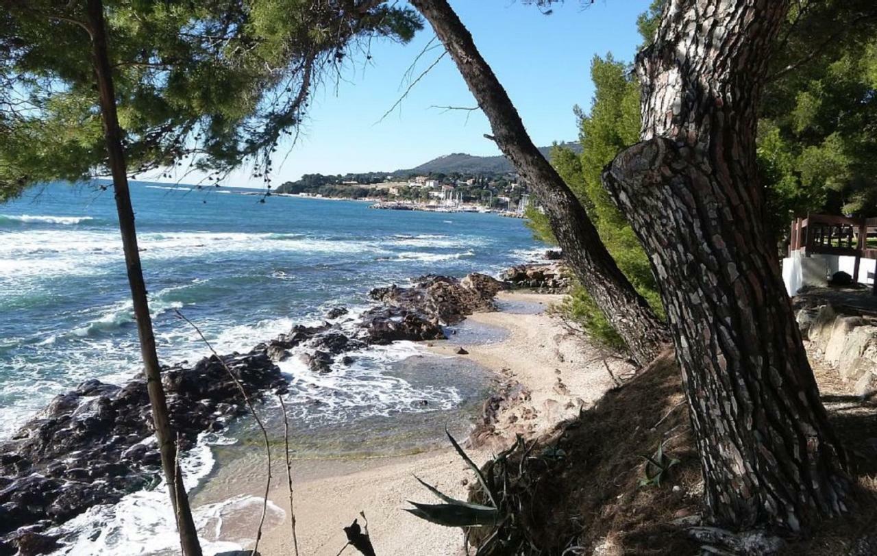 **** Beau T2 De 40 M2, Jardin De 70M2, Au Calme, A 50 Metres De La Plage Le Pradet Eksteriør bilde