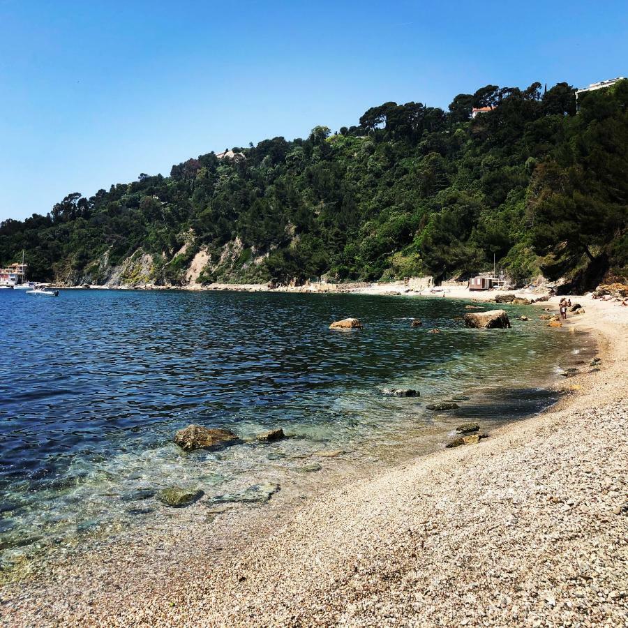 **** Beau T2 De 40 M2, Jardin De 70M2, Au Calme, A 50 Metres De La Plage Le Pradet Eksteriør bilde